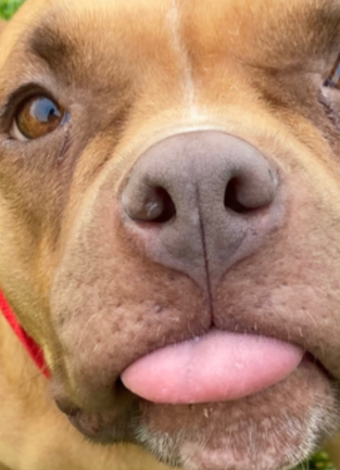 Supervisor Chuck Washington, District 3 - Decorative Image